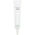 pyunkangyulACNESpotCream_idakorea